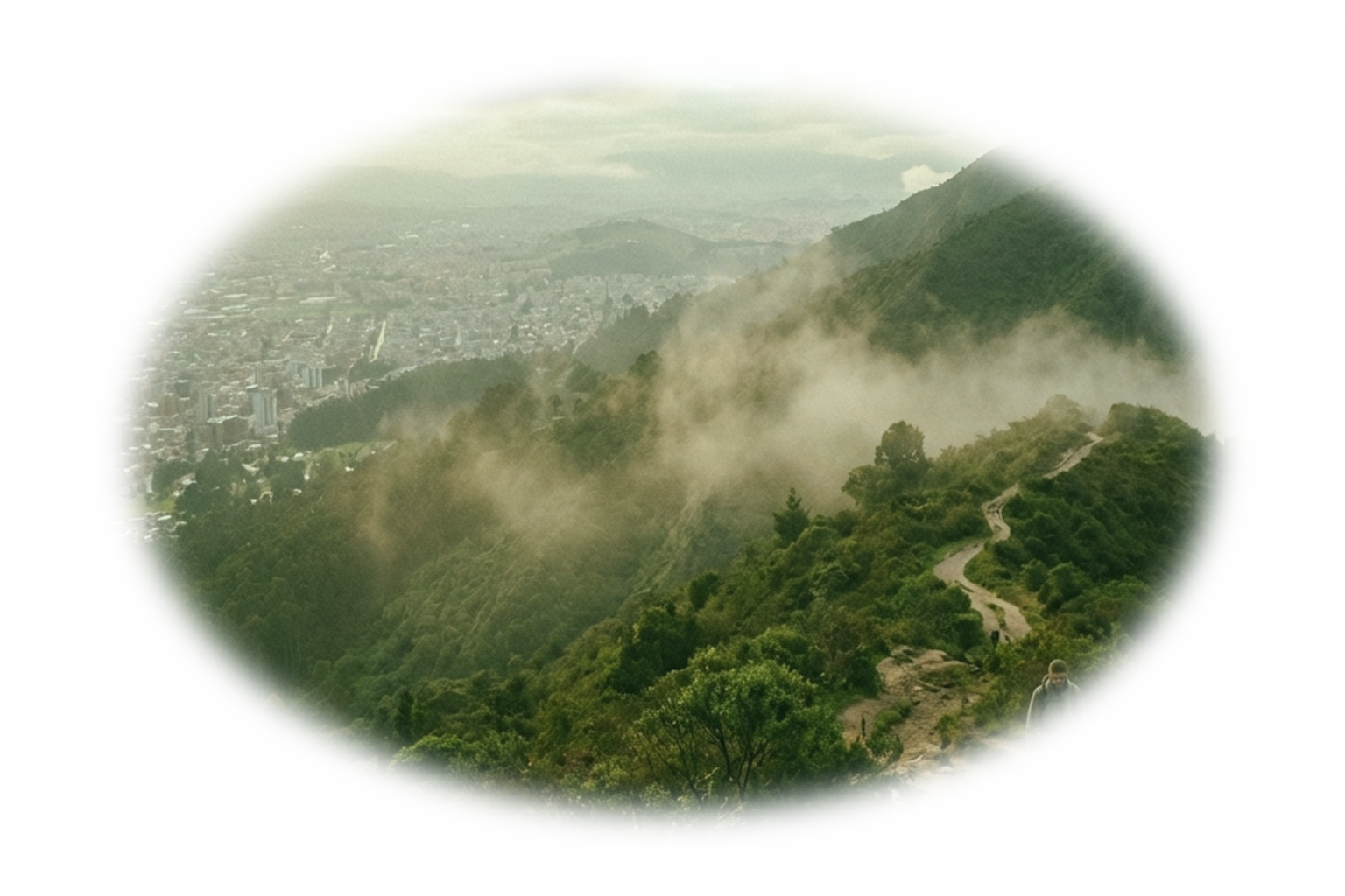 Naturaleza y compras de plantas en Bogotá