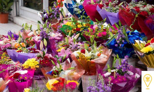 Floréate con Estilo: las floristerías de Colombia que marcan la diferencia